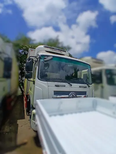 Dongfeng — Photo 3